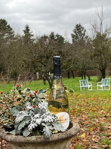 "Aux Chants Des Oiseaux" Domaine De La Renardiere Les Grandes-Loges エクステリア 写真